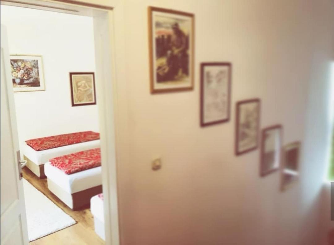 Private Riverside Villa Silvia 莫斯塔尔 外观 照片